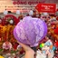 Lồng Đèn Hội An Vải Lụa Gấm - Dáng Tròn (10-20-30-40-60cm)