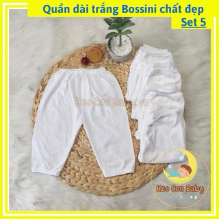 [COMBO 5] Quần Dài Trắng Cho Bé Thun Cotton Co Giãn 4 Chiều Cao Cấp (Sơ Sinh - 80kg) - [Chất đẹp]