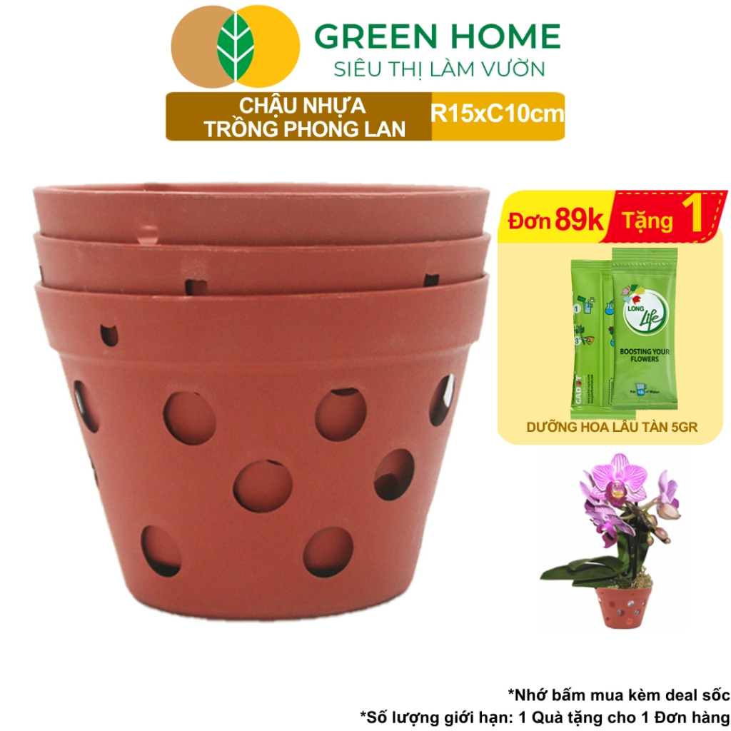 Đánh Giá Chậu Trồng Lan Greenhome R15xC10cm Nhựa Giả Gốm: Bền, Thoáng Rễ, Giá Tốt
