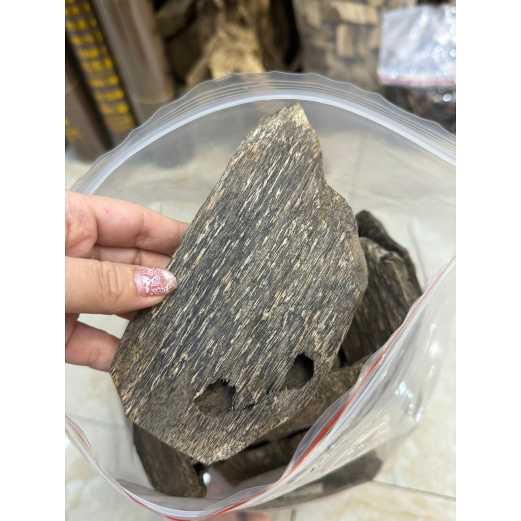 Trầm Hương Miếng Tự Nhiên 100gr Loại 1 (Giác Trầm Hương )
