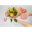 Kéo làm vườn Sakagen Hand Creation Loại Cổ Điển F-170 Nhật Bản Dụng cụ