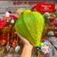 Lồng Đèn Hội An Vải Lụa Gấm - Dáng Tỏi (10-20-30-40-60cm)