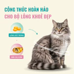 Hạt Cho Mèo Bite Of Wild K42 Combo 3 Gói 1KG Viên Mềm Dễ Tiêu Hoá Không Chứa Ngũ Cốc Hợp Với Mèo Con — ảnh 5