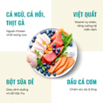 Hạt Cho Mèo Bite Of Wild K42 Combo 3 Gói 1KG Viên Mềm Dễ Tiêu Hoá Không Chứa Ngũ Cốc Hợp Với Mèo Con — ảnh 4