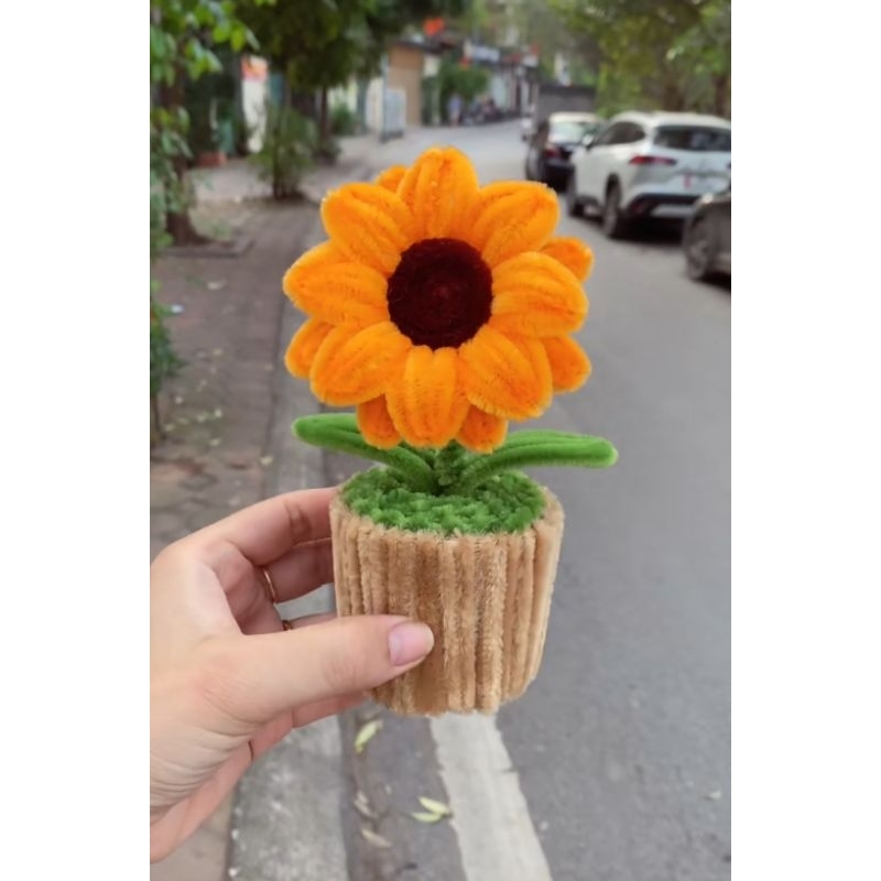 Chậu Hoa Hướng Dương Kẽm Nhung Xinh Xắn