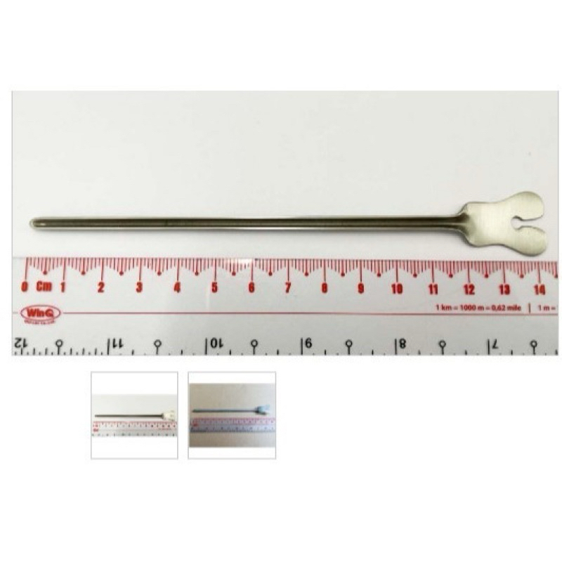 Cây thông lòng máng , thông bướm dài 14cm