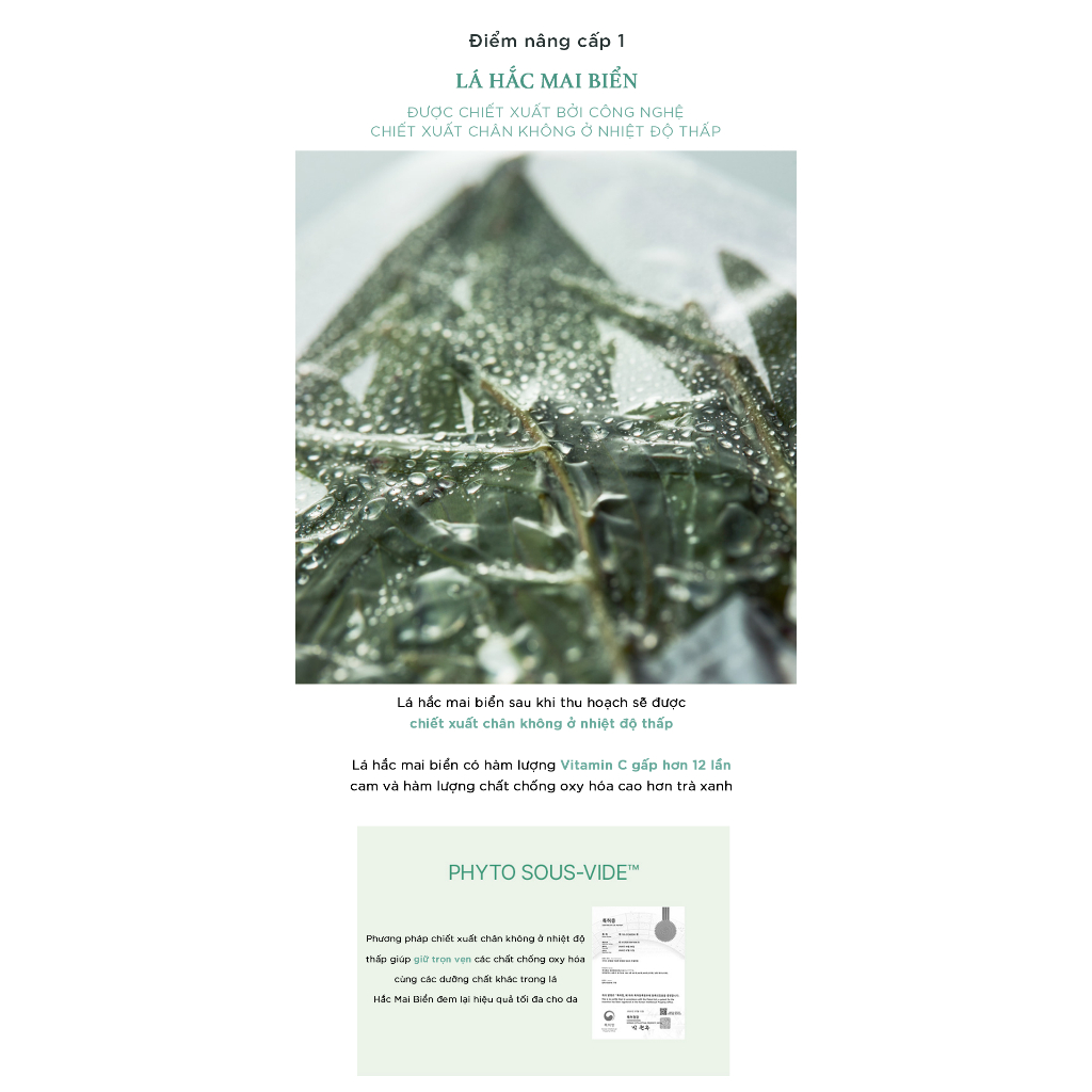 Ảnh Kem dưỡng ẩm I'm From Vitamin Tree Water-Gel Advanced 75g 3