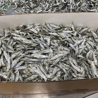 Khô Cá Ve, giòn, thơm, Chất Lượng Cao Cấp Xuất Khẩu, Dễ Chế Biến Thành Nhiều Món Ăn Ngon