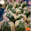 1 kg Bánh Tráng Rìa Phơi Sương Dẻo Mềm! Bánh Rìa Phơi Sương, Chuẩn Hàng Loại ngon