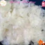 1 kg Bánh Tráng Rìa Phơi Sương Dẻo Mềm! Bánh Rìa Phơi Sương, Chuẩn Hàng Loại ngon