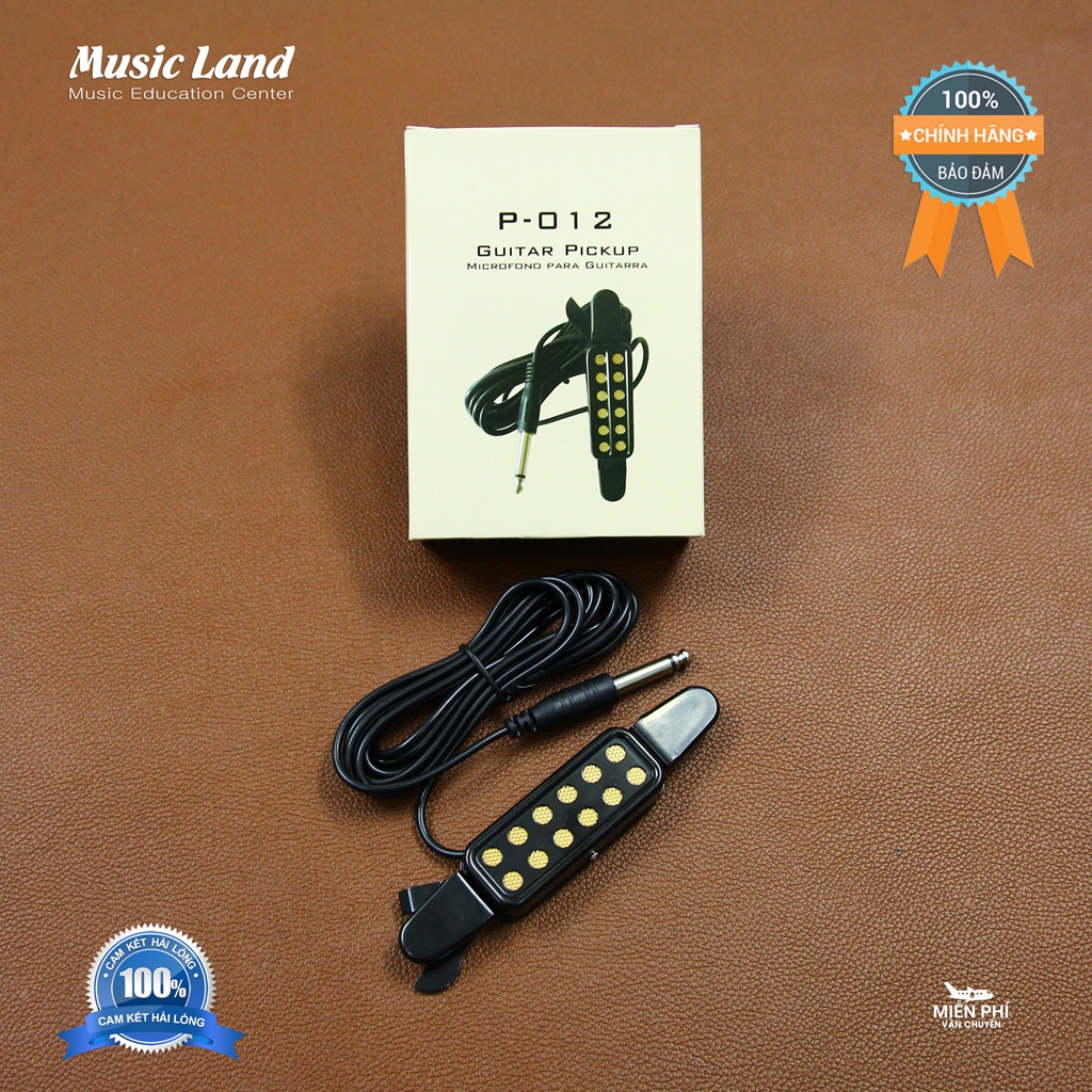Pickup Đàn Guitar Acoustic P-012 - Chính Hãng | Shopee Việt Nam