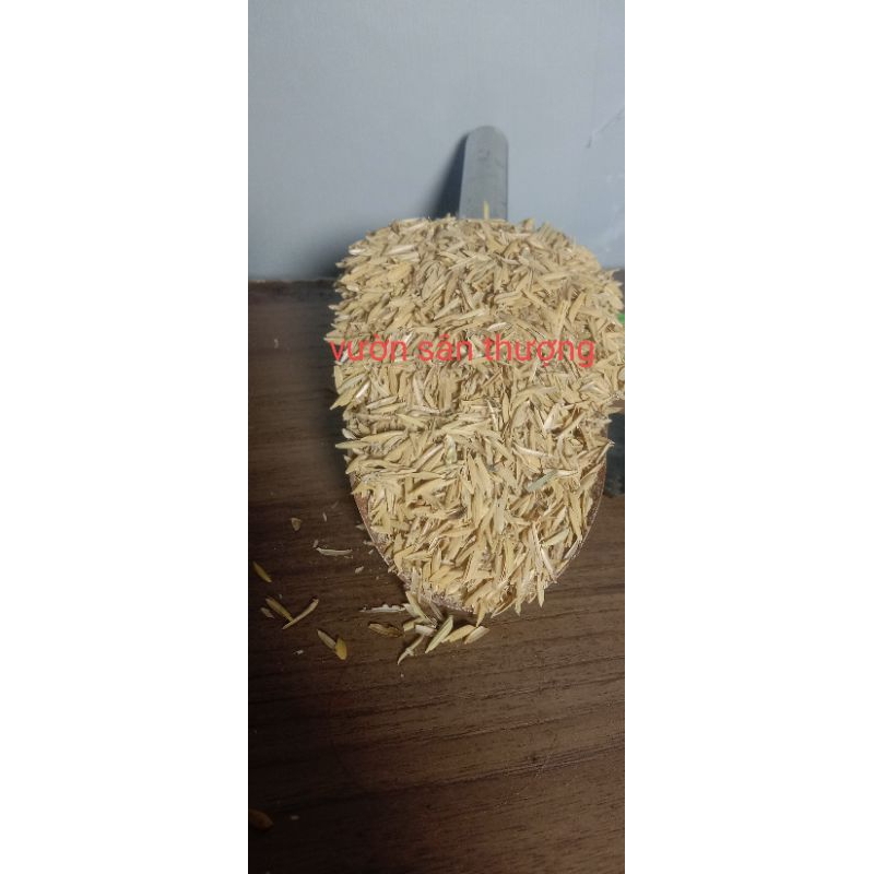 Trấu Tươi (500gr) Gía Thể Phối Trộn Đất Trồng Cây, Trang Trí