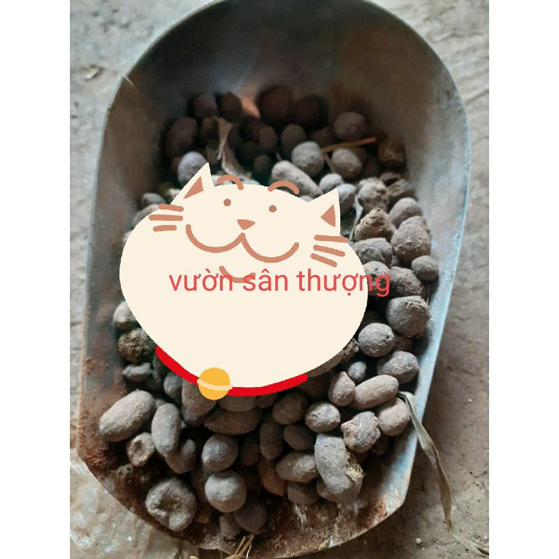 Phân Dê Viên (0,5kg) Xử Lý Phơi Khô, Cải Tạo, Bón Lót, Bổ Sung Hệ Vi Si.nh Cho Lan, Dâu, Cây Cảnh, Hoa