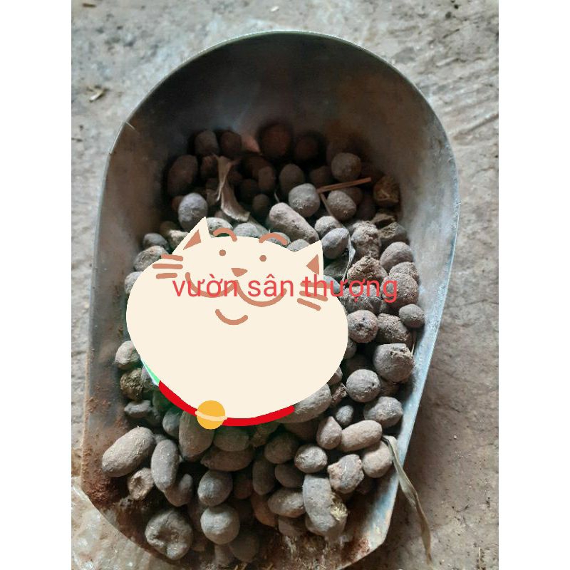 Phân Dê Viên (0,5kg) Xử Lý Phơi Khô, Cải Tạo, Bón Lót, Bổ Sung Hệ Vi Si.nh Cho Lan, Dâu, Cây Cảnh, Hoa