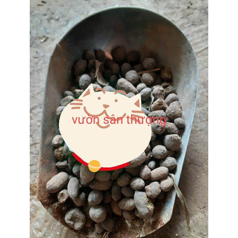 Phân Dê Viên (0,5kg) Xử Lý Phơi Khô, Cải Tạo, Bón Lót, Bổ Sung Hệ Vi Si.nh Cho Lan, Dâu, Cây Cảnh, Hoa