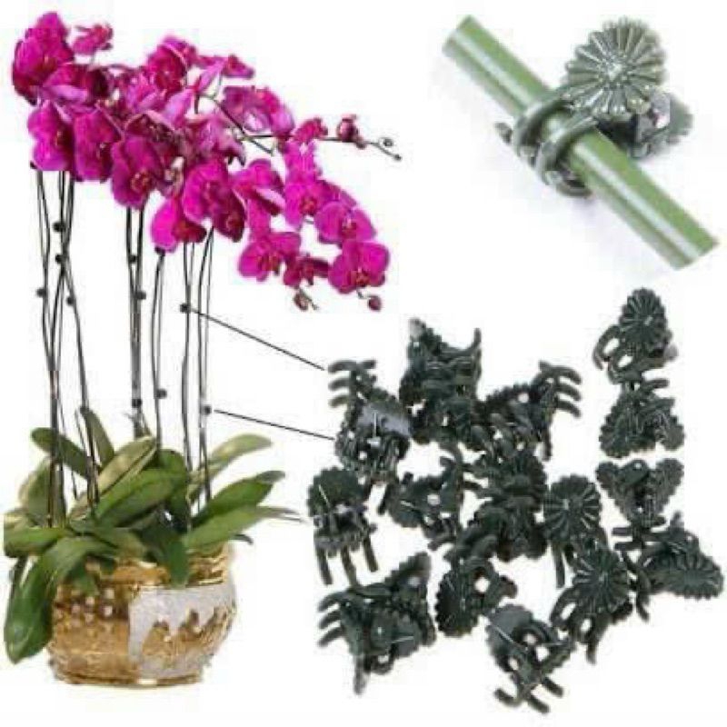 Kẹp Bư.ớm Cố Định Hoa Lan Tùy Chọn Số Lượng, Giúp Cành Đứng Vững