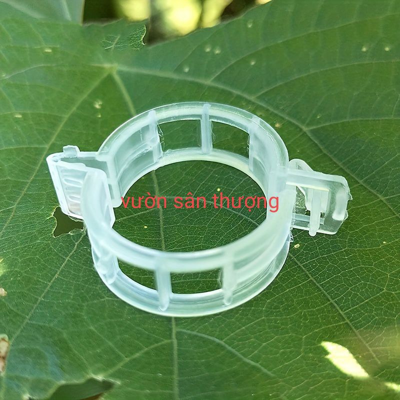 10 Kẹp Cố Định Thân Dưa Lưới, Cây Dây Leo, giúp Cây Không Ngã