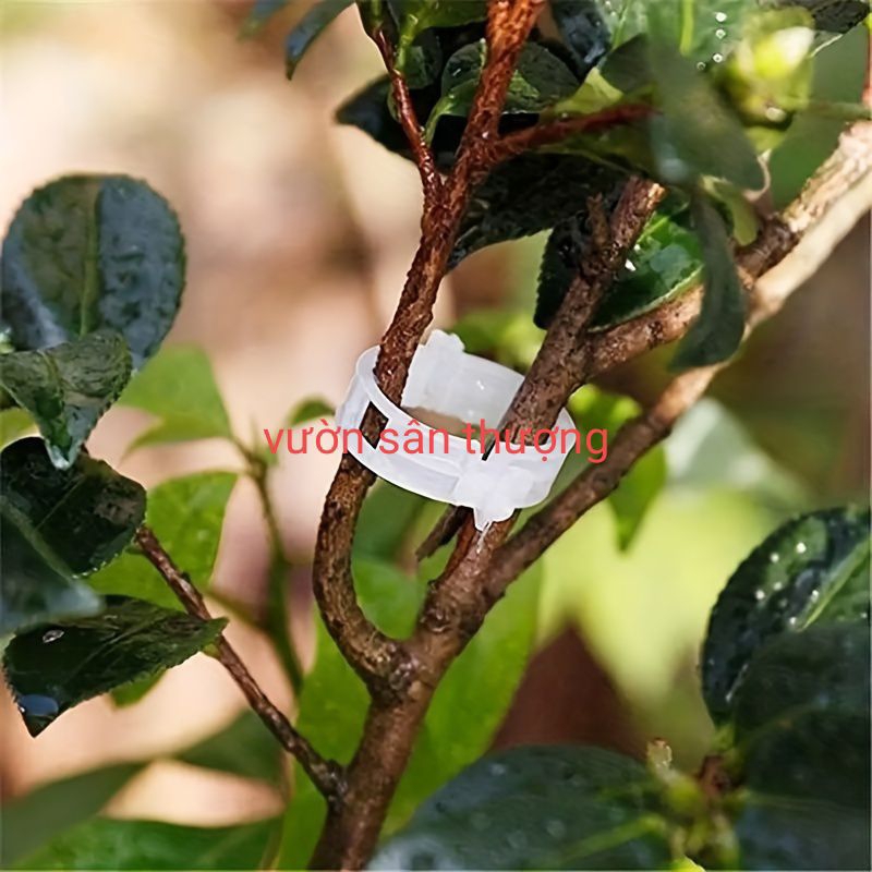 10 Kẹp Cố Định Thân Dưa Lưới, Cây Dây Leo, giúp Cây Không Ngã