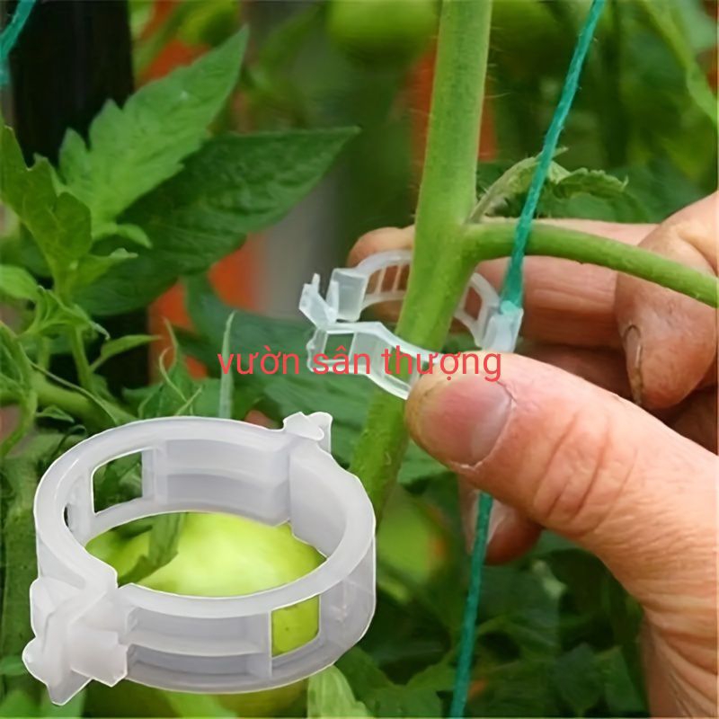 10 Kẹp Cố Định Thân Dưa Lưới, Cây Dây Leo, giúp Cây Không Ngã