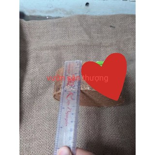 1 Viên Nén Mụn Xơ Dừa Xu.ất Kh.ẩu, Dk 13, Dày Hơn 4, Nặng Gần 450g, Trồng Rau Mầm, Vật Liệu Hữu Cơ, Nở Tới 5Dm3