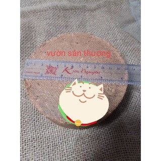 1 Viên Nén Mụn Xơ Dừa Xu.ất Kh.ẩu, Dk 13, Dày Hơn 4, Nặng Gần 450g, Trồng Rau Mầm, Vật Liệu Hữu Cơ, Nở Tới 5Dm3