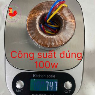 Cục đổi nguồn điện 220v sang 110v cho thiết bị dưới 100W