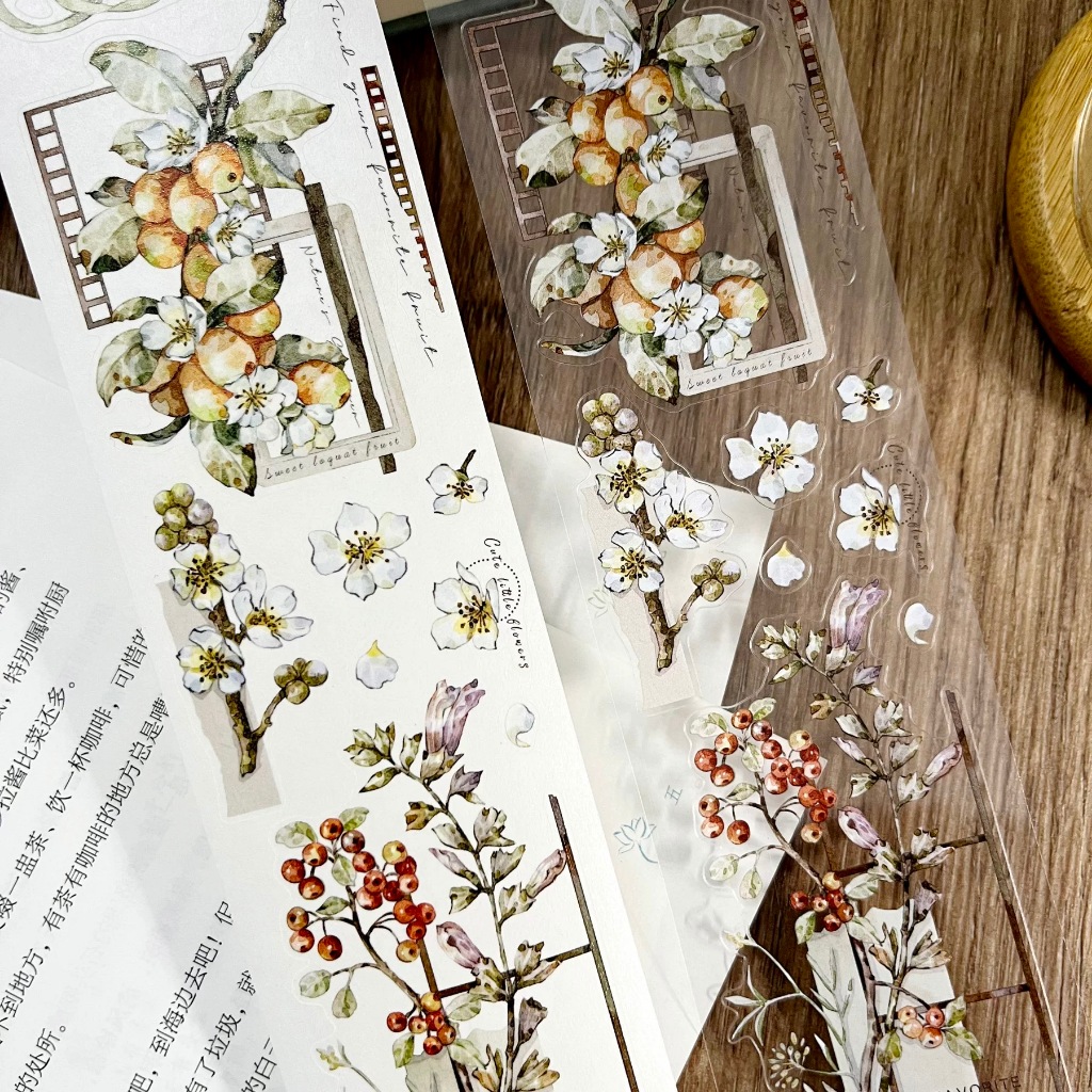 Saunery - PET tape sticker hoa quả Vintage cắt viền sẵn ZYS chu kì ...