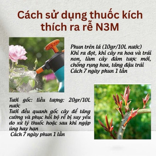 Phân bón kích thích ra rễ cực mạnh N3M - Hũ 100 GRAM, 500 GRAM