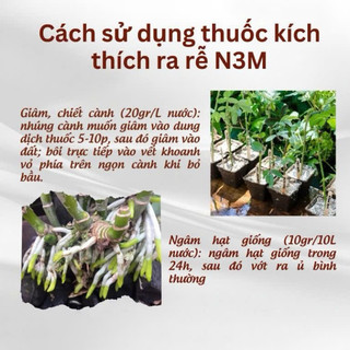 Phân bón kích thích ra rễ cực mạnh N3M - Hũ 100 GRAM, 500 GRAM