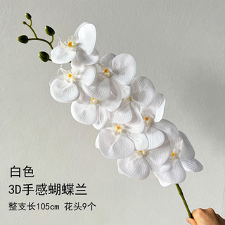 cành hoa Lan cao su 9b thanh nhã