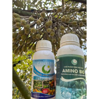 Combo amino bio và canxibo tăng sức sống hạt phấn dưỡng bông dưỡng trái chống rụng tốt