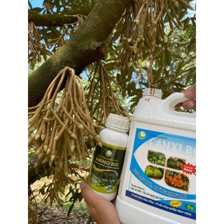 Combo amino bio và canxibo tăng sức sống hạt phấn dưỡng bông dưỡng trái chống rụng tốt