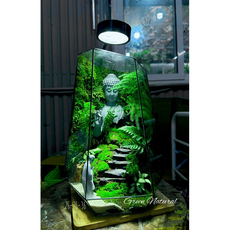 Diện phật bán thân decor terrarium,tiểu cảnh,non bộ, bể cá