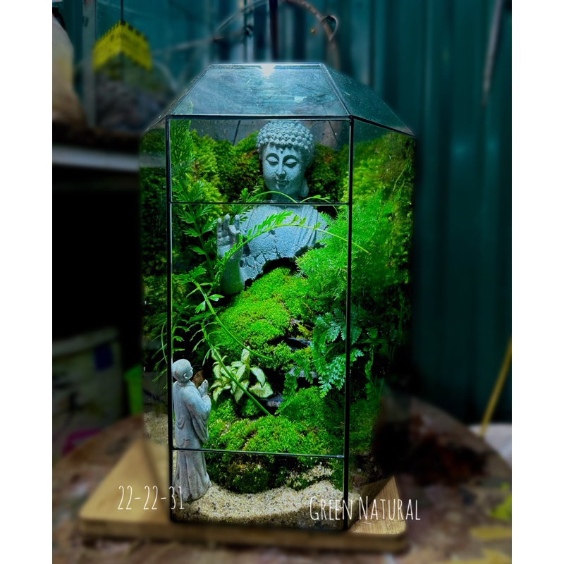 Diện phật bán thân decor terrarium,tiểu cảnh,non bộ, bể cá