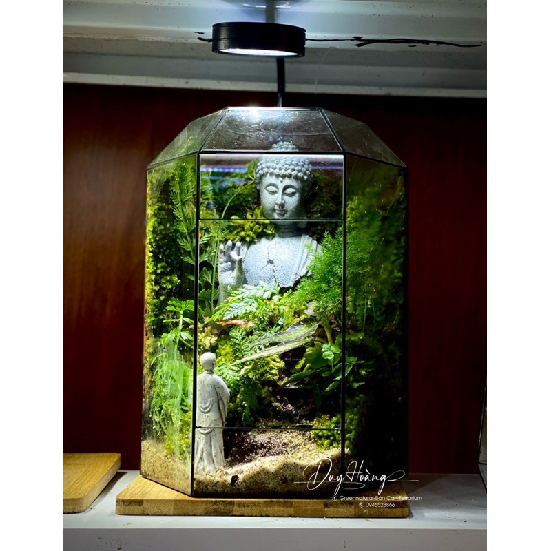 Diện phật bán thân decor terrarium,tiểu cảnh,non bộ, bể cá