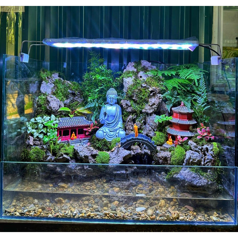 Tượng Phật Ngồi Thiền trang trí phong thuỷ, bán cạn, terrarium Green Natural