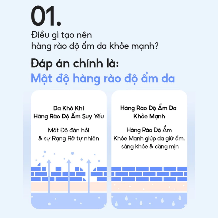 Kem Dưỡng Ẩm Sâu 100H Laneige Water Bank Blue Hyaluronic Moisture Cream 50ml (Da Thường và Da Khô) – 3