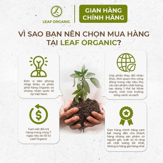 [MUA 2 GIẢM 10%] Dầu hào chay hữu cơ từ nấm JoySpring loại 200ml và 500ml, nhãn hiệu hàng đầu Đài Loan