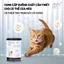 Pate King’s Pet Cho Chó Mèo Lon 380g Đủ Vị Thơm Ngon Không Chất Bảo Quản Bổ Sung Vitamin Pet Kool