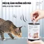 Pate King’s Pet Cho Chó Mèo Lon 380g Đủ Vị Thơm Ngon Không Chất Bảo Quản Bổ Sung Vitamin Pet Kool