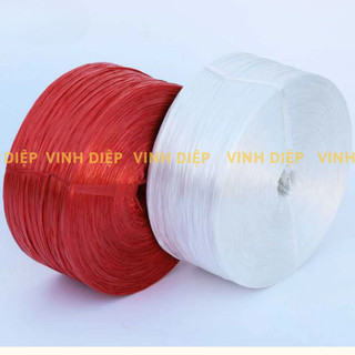 Dây nilon buộc hàng, đóng gói, vận chuyển chất dai nhiều màu 1kg