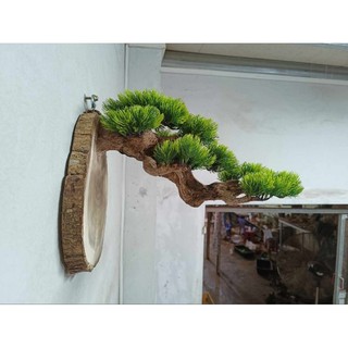 Móc treo lồng chim làm bằng gỗ lũa, tán cây giả bằng nhựa. Có thể treo lồng chim Chào Mào, Mi, Khứu, chòe,