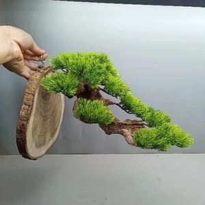 Móc treo lồng chim làm bằng gỗ lũa, tán cây giả bằng nhựa. Có thể treo lồng chim Chào Mào, Mi, Khứu, chòe,