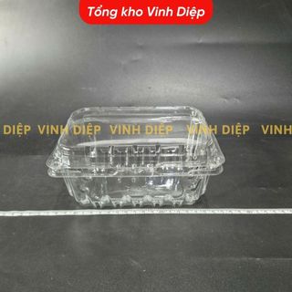50 hộp nhựa đựng 500g, 1kg trái cây hoa quả có lỗ bấm, lỗ thoát khí P500B P1000B