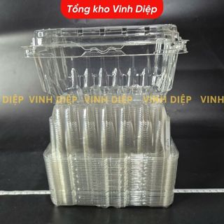 50 hộp nhựa đựng 500g, 1kg trái cây hoa quả có lỗ bấm, lỗ thoát khí P500B P1000B