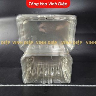 50 hộp nhựa đựng 500g, 1kg trái cây hoa quả có lỗ bấm, lỗ thoát khí P500B P1000B