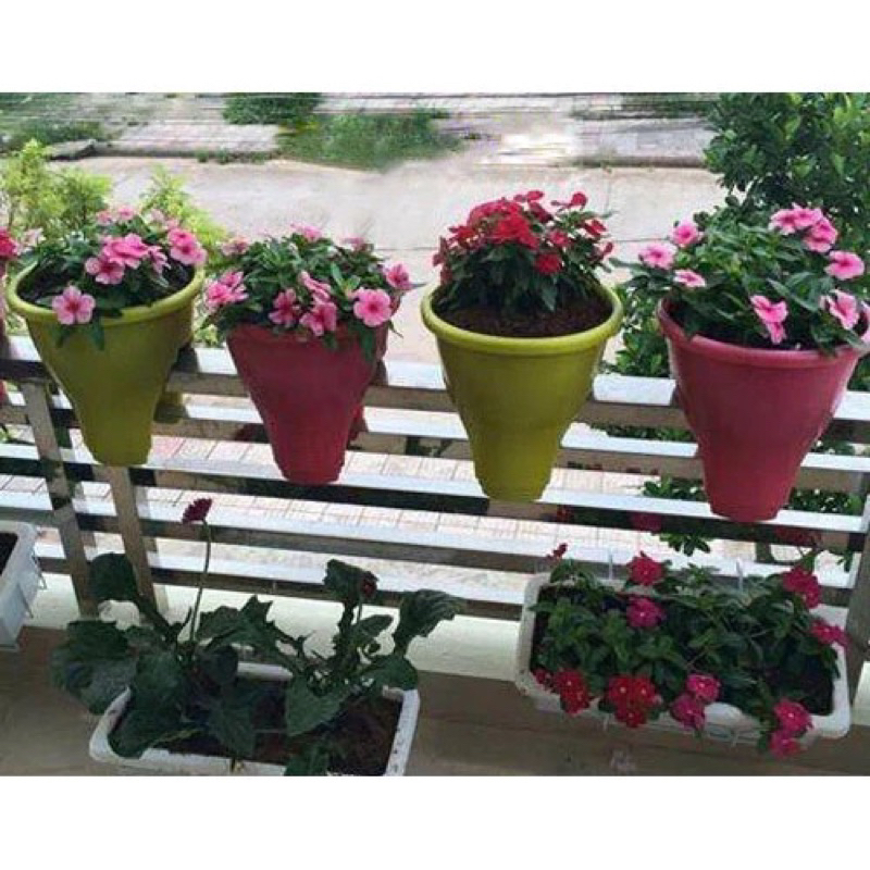 Chậu Nhựa Kẹp Ban Công Lan Can size trung rãnh 7cm đáy nhọn Trồng Hoa, siêu đẹp,video