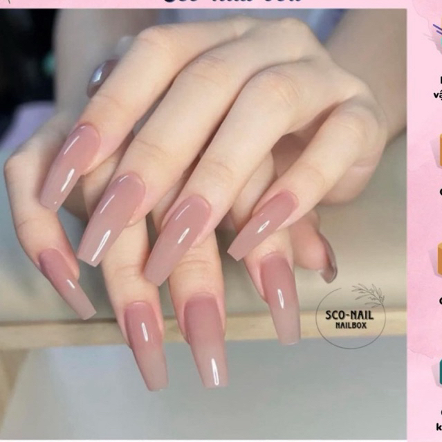 ( HỎA TỐC) NAIL BOX THẠCH HỒNG NUDE TÔN DA