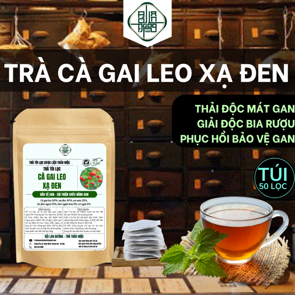 Trà Cà Gai Leo Xạ Đen An Xoa -Bội Lan Đường - Thải Độc Bảo Vệ gan, Đào Thải độc tố giảm cân - 50 lọc