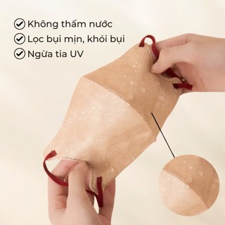 Combo 100 chiếc khẩu trang 6D Thịnh Phát kháng khuẩn quai chun mềm mại chống tia UV